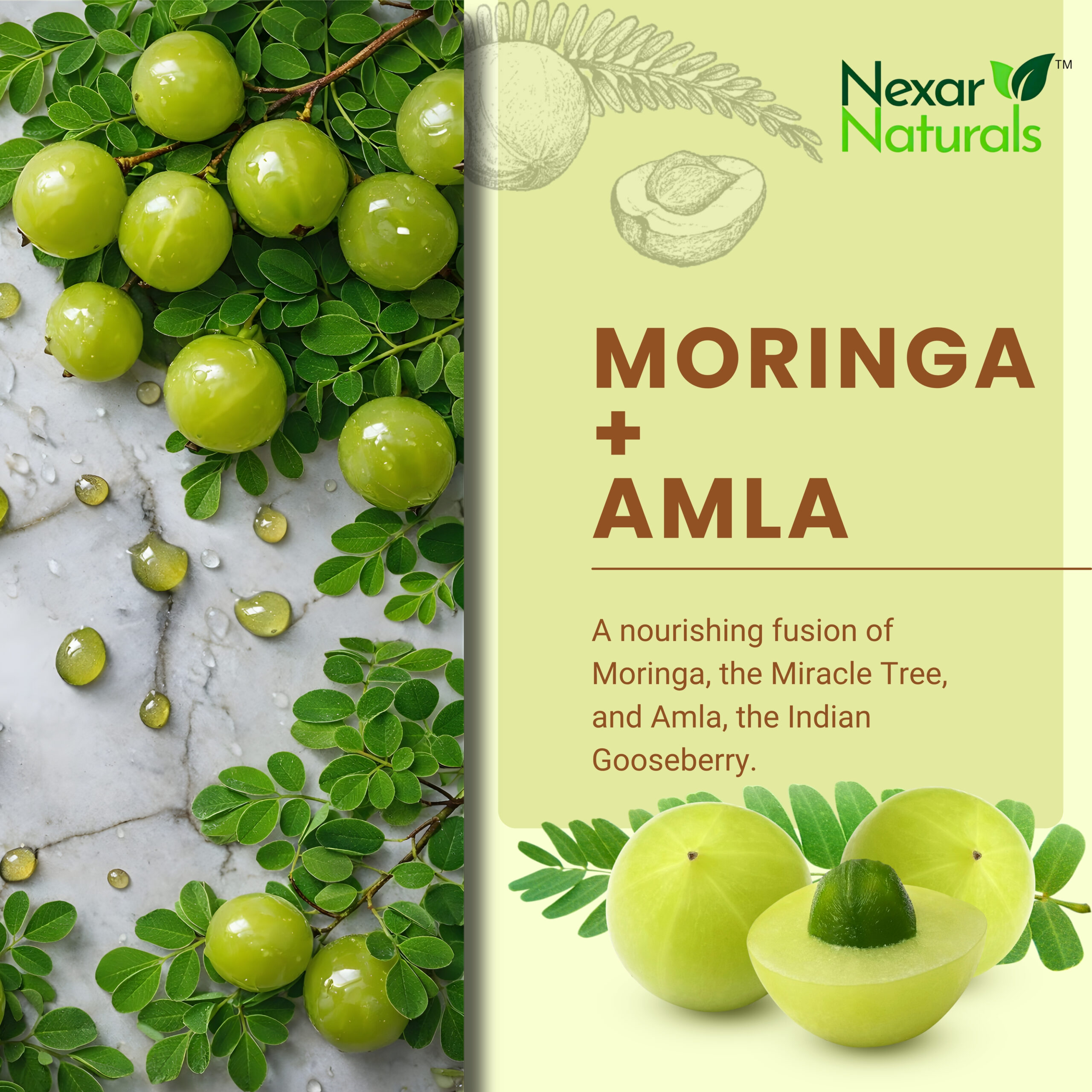 moringa +amla powder moringa +amla powder