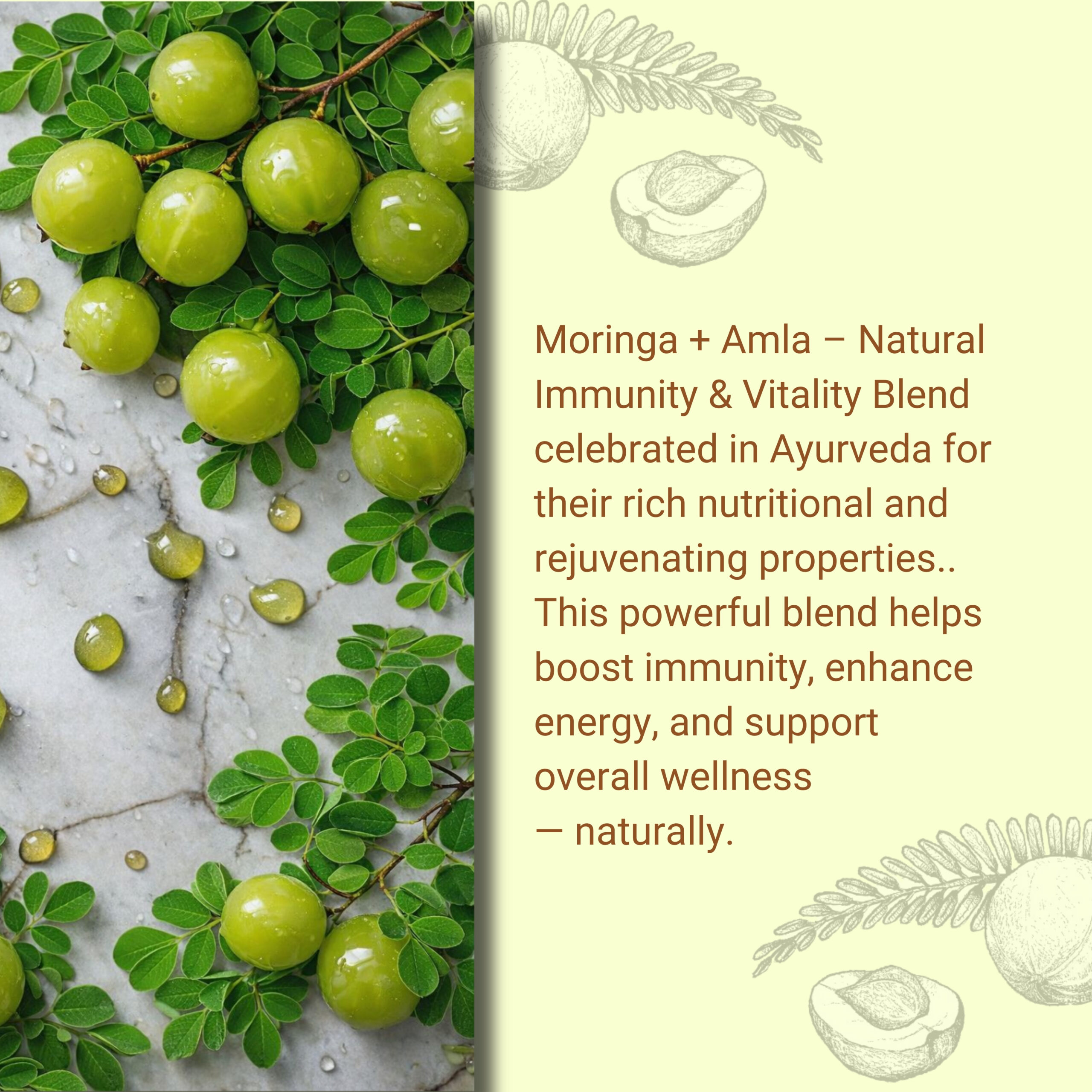 2 MORINGA +AMLA POWDER - Image 4