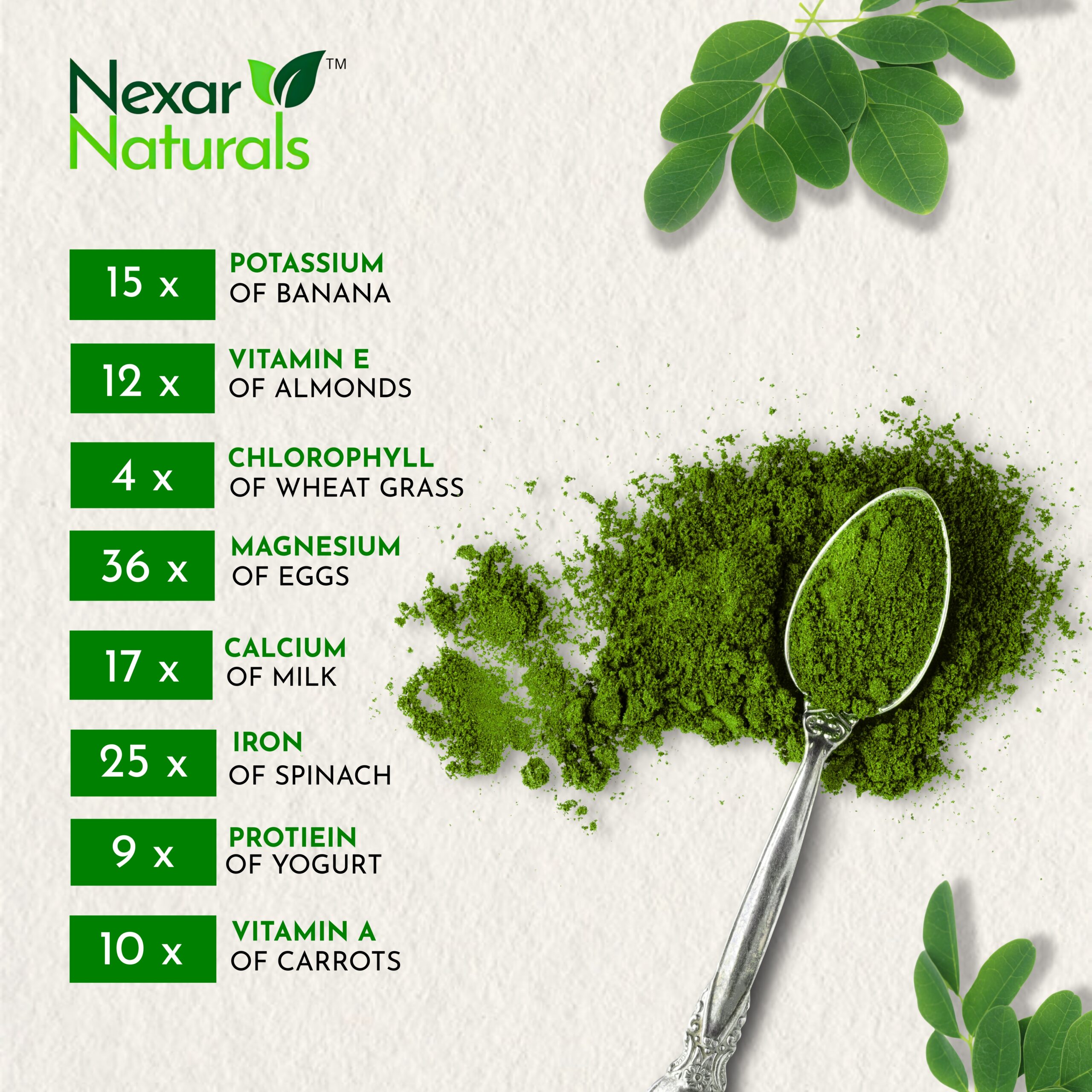 3 MORINGA LEAF POWDER - Image 6