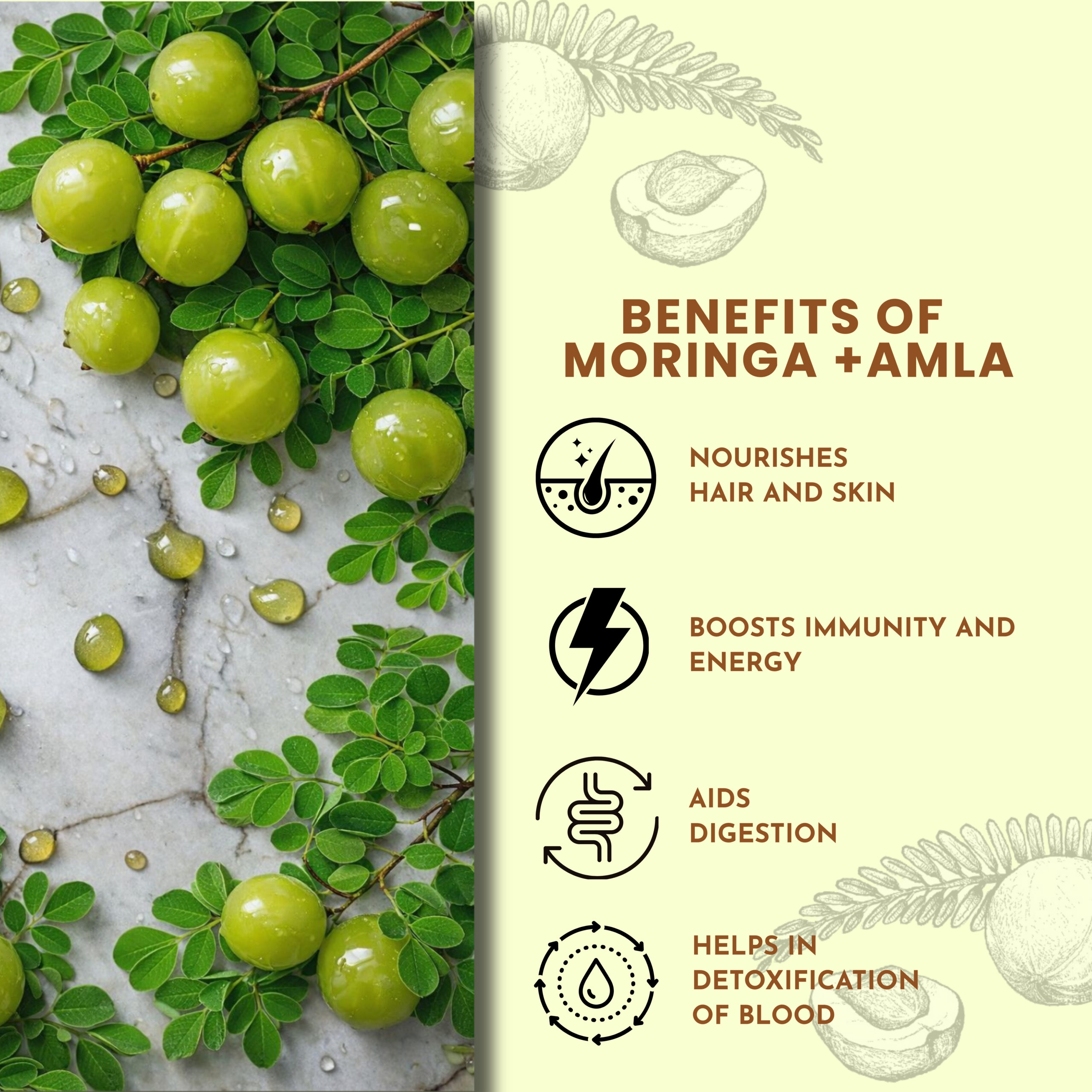 3 MORINGA +AMLA POWDER - Image 5