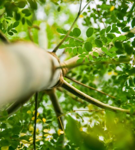 whatsapp image 2026 03 02 at 1.44.11 pm