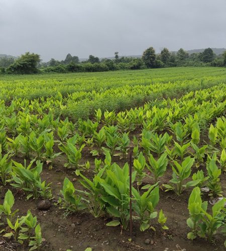 whatsapp image 2026 03 02 at 1.44.46 pm