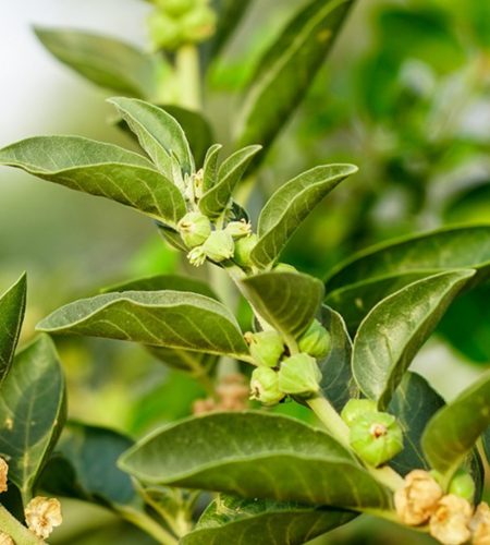 whatsapp image 2026 03 02 at 1.54.36 pm