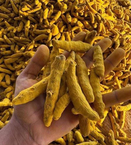 whatsapp image 2026 03 02 at 1.54.37 pm